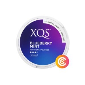 XQS Blueberry Mint Strong product tin